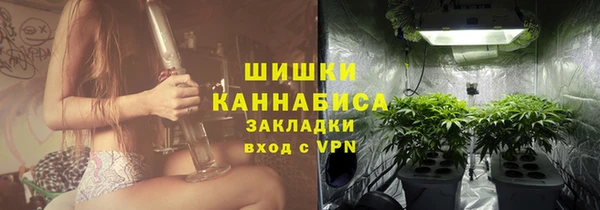 спайс Бородино