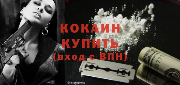 спайс Бородино