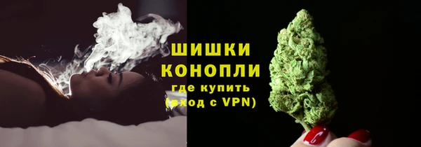 стаф Бронницы