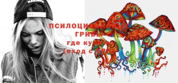 стаф Бронницы