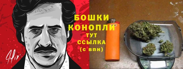 спайс Бородино