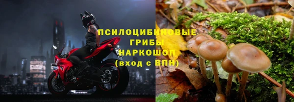 спайс Бородино