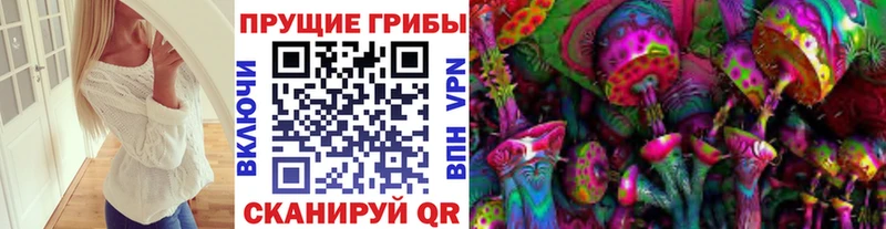 Купить закладки  Бирюсинск  Галлюциногенные грибы Psilocybe 
